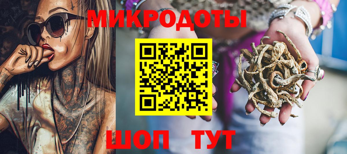 Псилоцибиновые грибы Psilocybe Костомукша