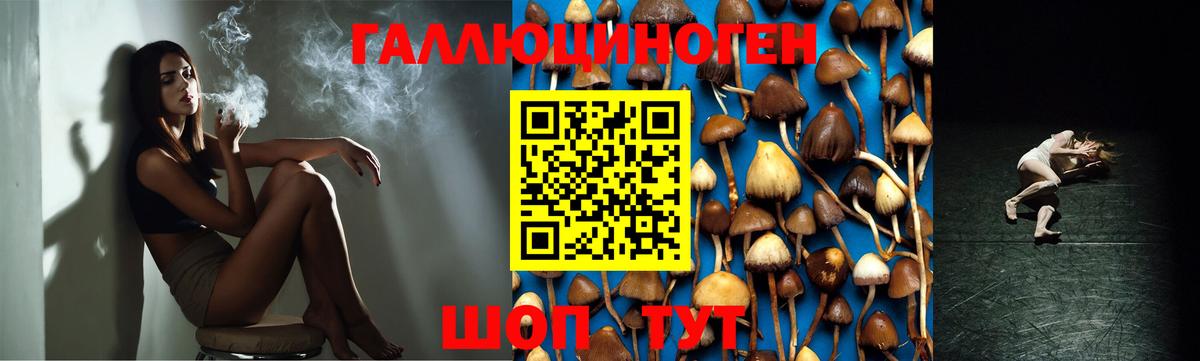 Галлюциногенные грибы Psilocybine cubensis  Вход с VPN  Костомукша 
